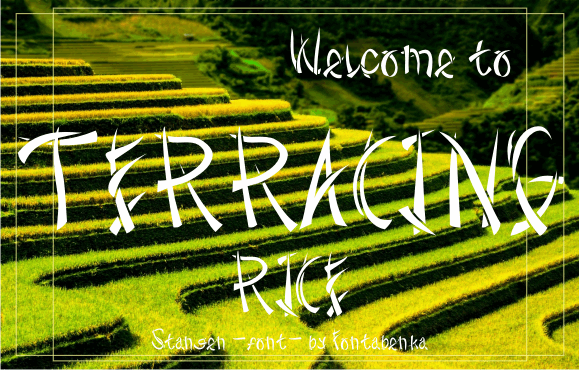 StangenD font插图1