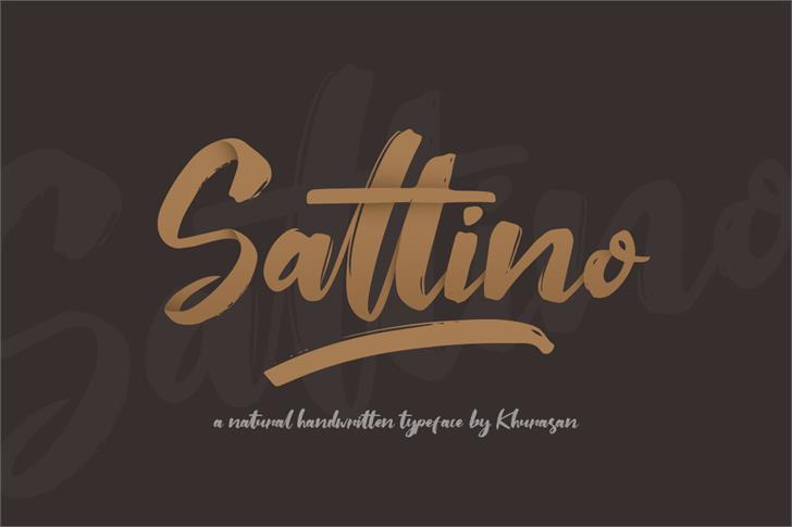Saltino font插图 Saltino font插图
