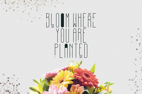 [Spring Vibes] April Display Font插图1