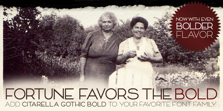 Citarella Gothic Full Font插图2