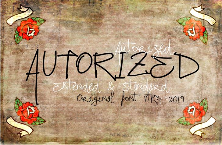 Vtks Autorized 2 font插图