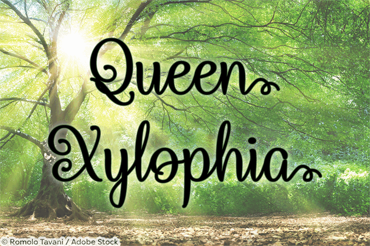 Queen Xylophia font插图1
