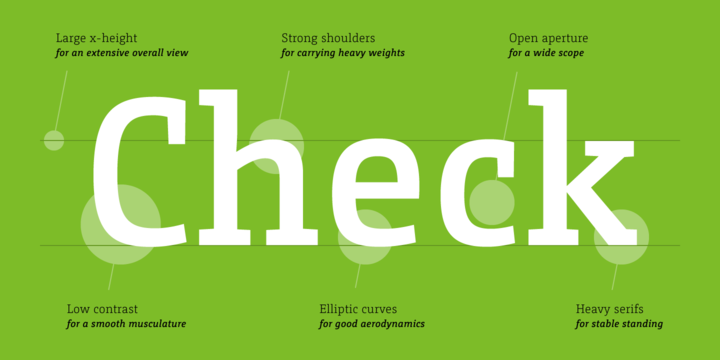 CamingoMono Font Family插图3