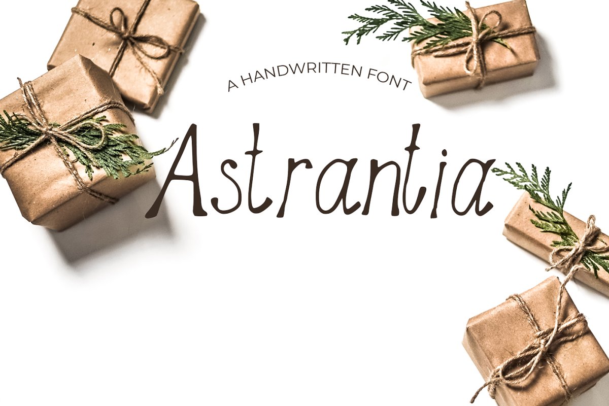 Astrantia Font插图