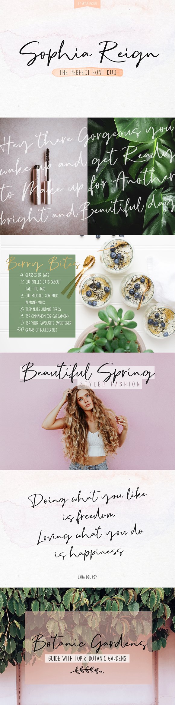 Signature font duo Sophia Reign插图