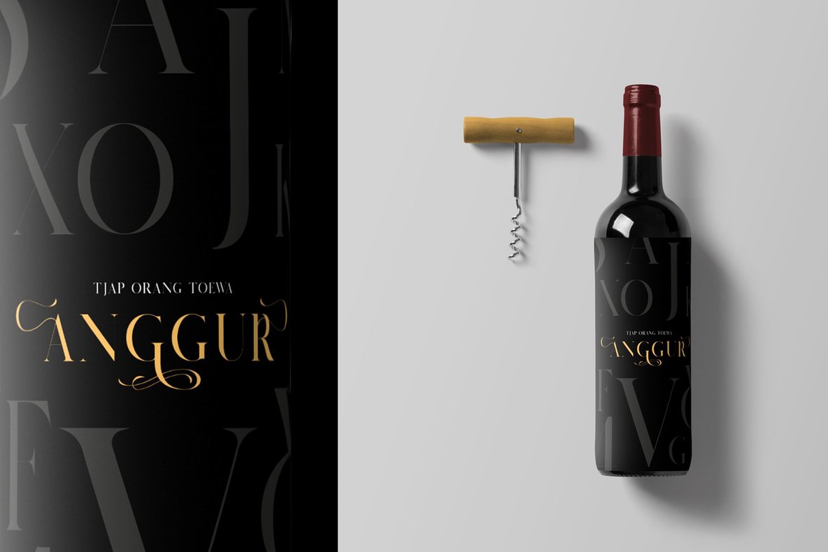 Salvalyn Font插图6