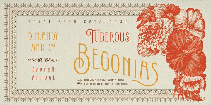 Conserta Font Family插图