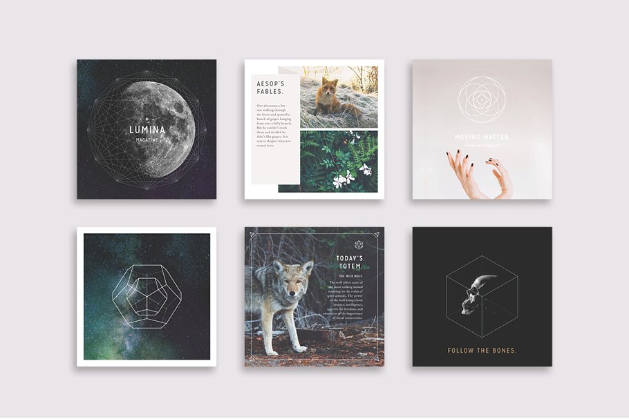 极力推荐：社交媒体配图插图设计模板素材库精选[1.23GB] LUMINA Social Media BUNDLE插图(7)