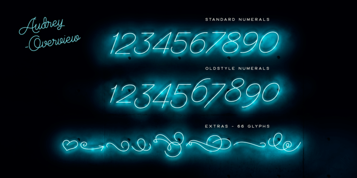 Audrey Font Family插图1