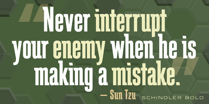 Schindler Font Family插图2