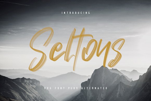 Seltons – SVG Font插图
