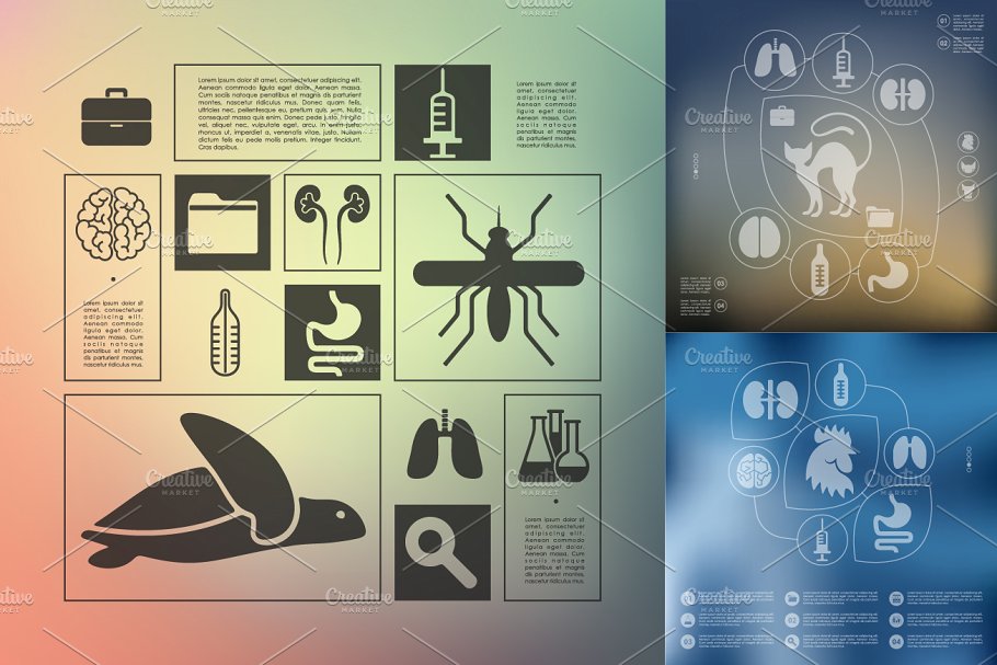 9个兽医/生物科技信息图 9 veterinary infographic插图(2)
