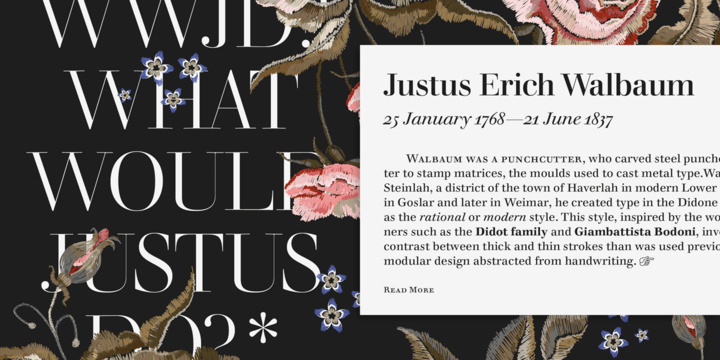 Walbaum Font Family插图1