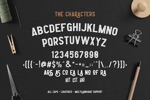 Leaderson Font Family插图1