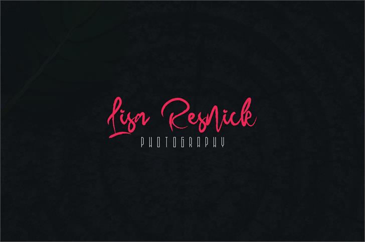 MadHouse Sanslight font插图5