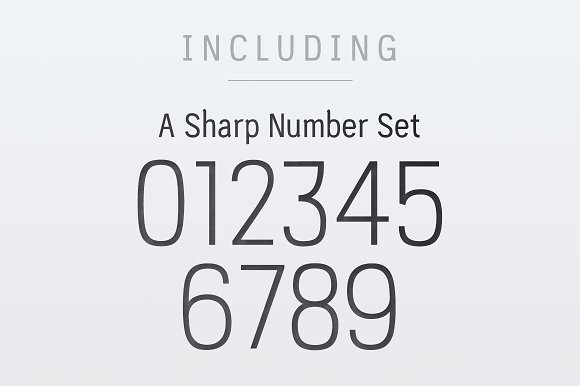 PC Navita – Light插图2