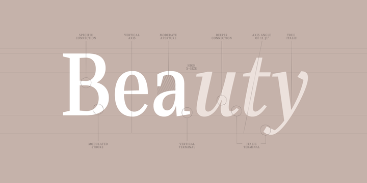 Singel Font Family插图2