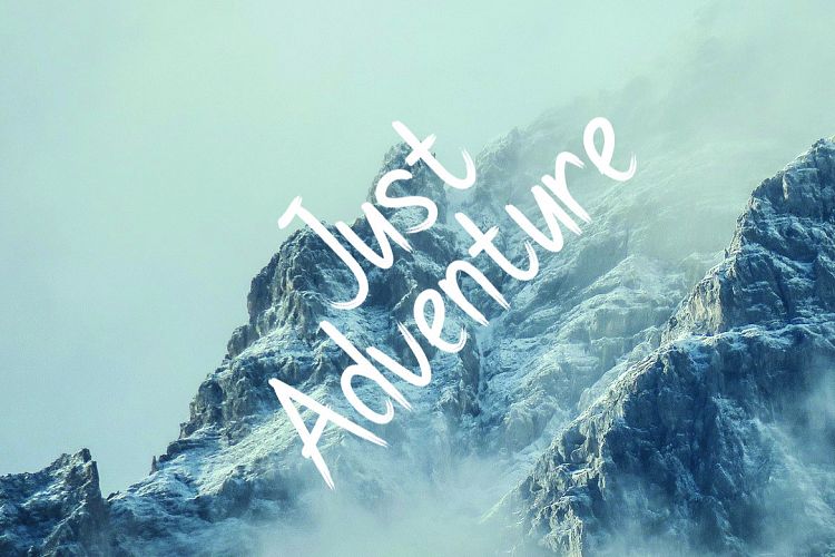 Pollaroid Regular Font插图2