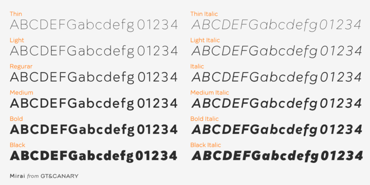 Mirai Font Family插图7