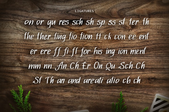 Hepatica Font插图1