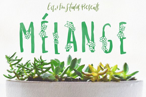 Melange A Flower Font for Spring插图