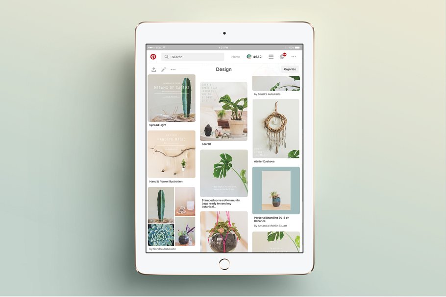 植物盆栽主题社交媒体贴图模板素材库精选[Pinterest版本] NATURALIS Pinterest Pack插图(7)