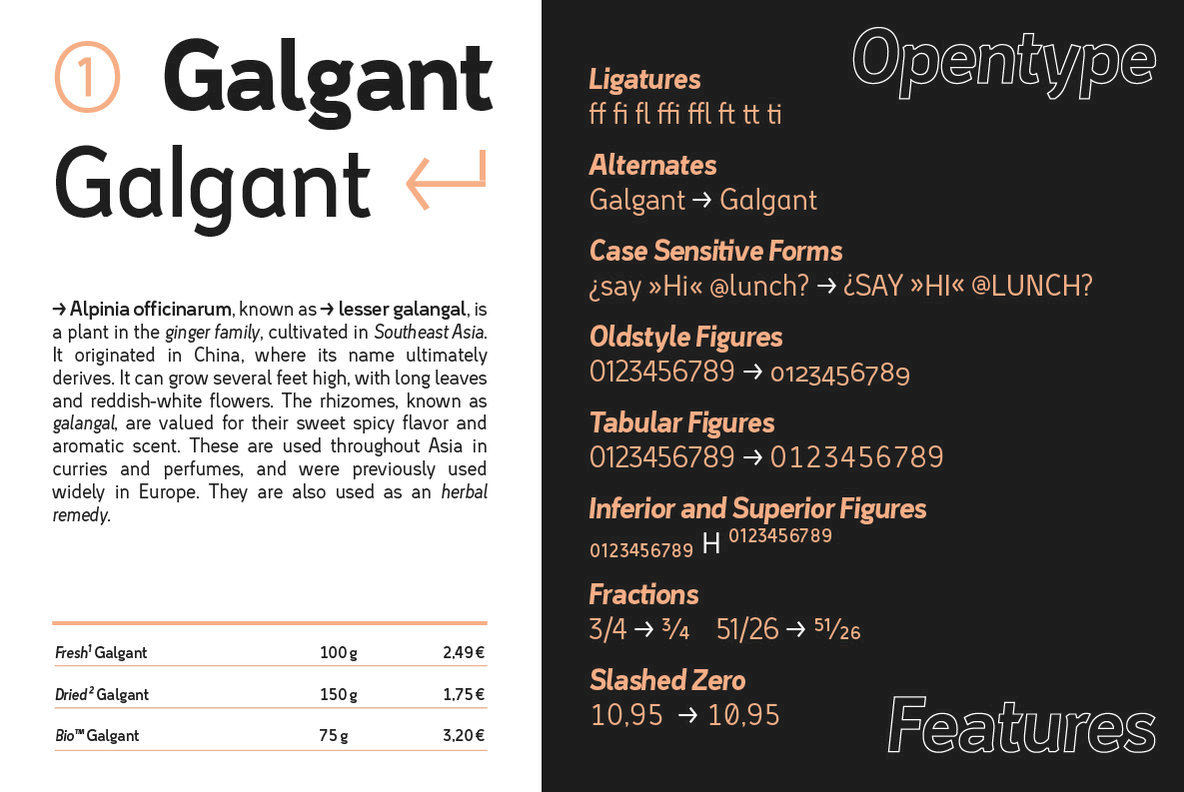 Tans Font Family插图4