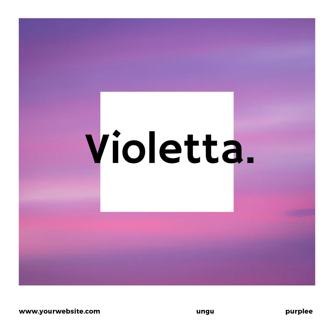 薰衣草配色社交媒体广告Banner图设计模板素材库精选 Lavender Social Media Banners插图(9)