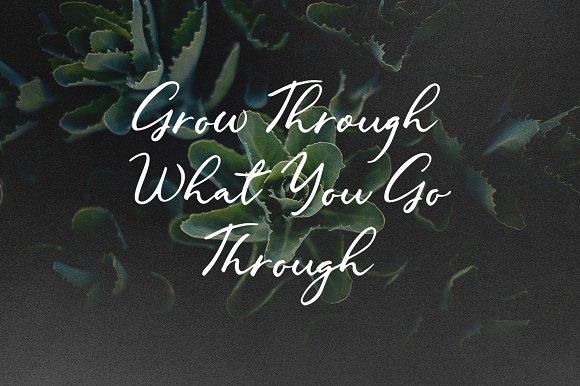 Gallendo Font插图2