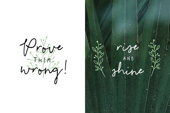 The Bloom Project Font插图1