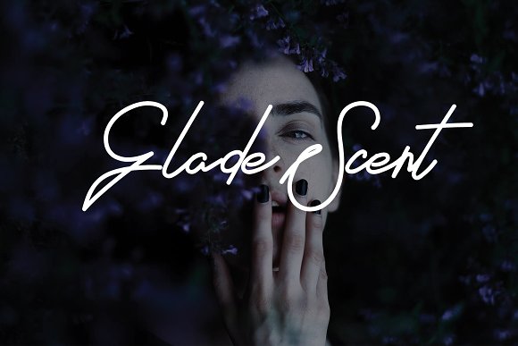 Foundart signature typeface插图4