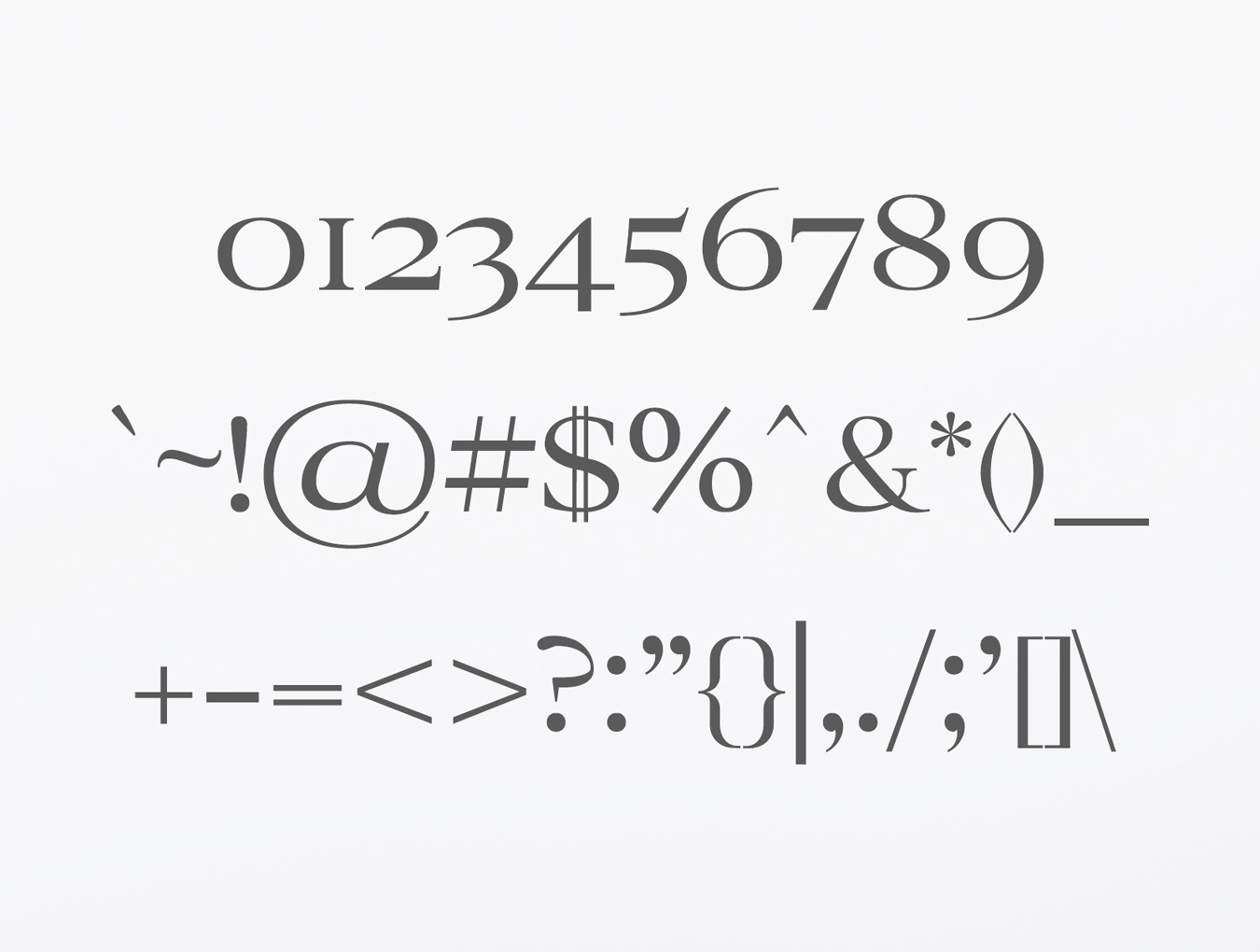 文艺范的衬线字体下载插图(4)