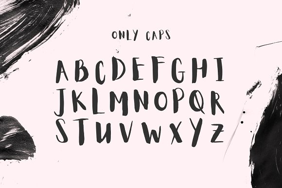 Aloja Light Handwriting Font插图3