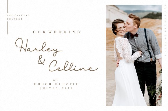 Blesson Signature Font插图2