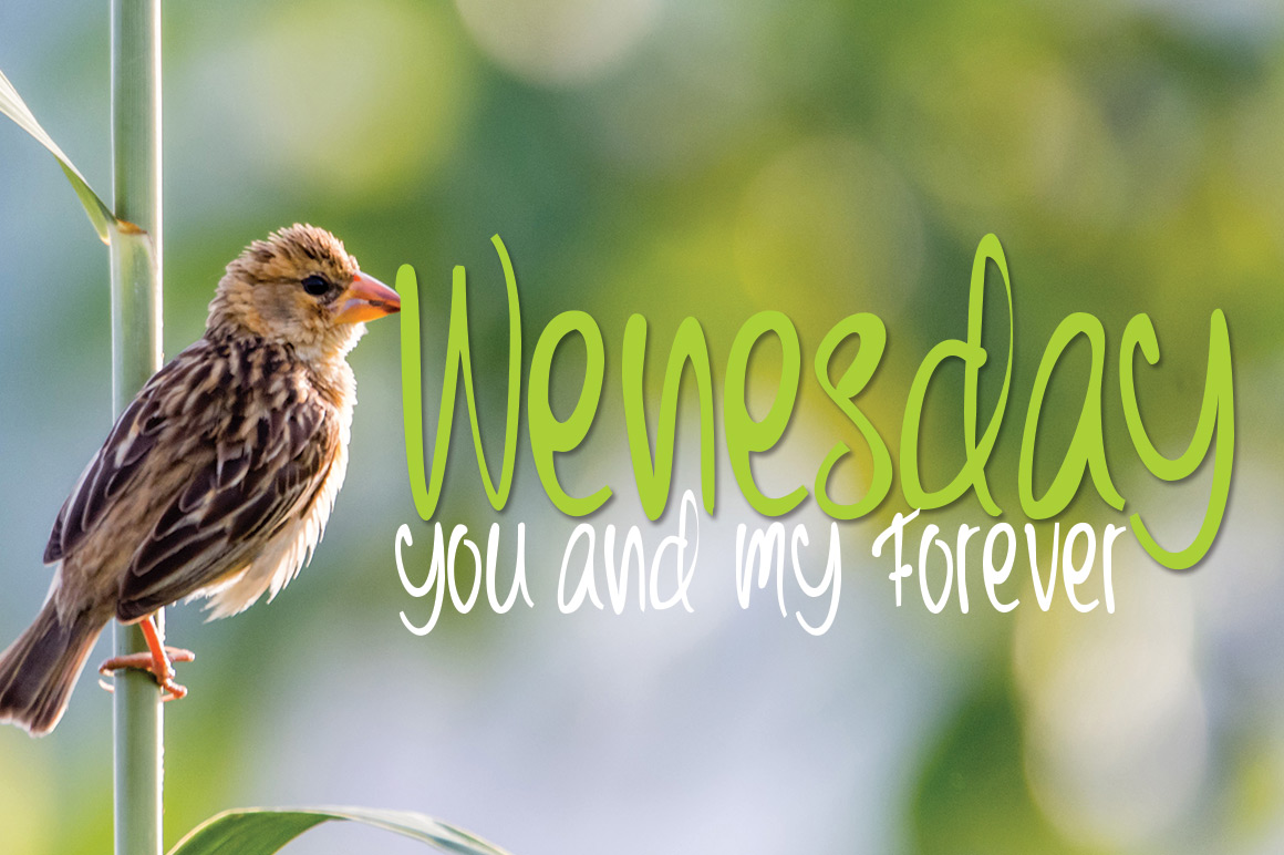 Children Day’sOther Font插图2