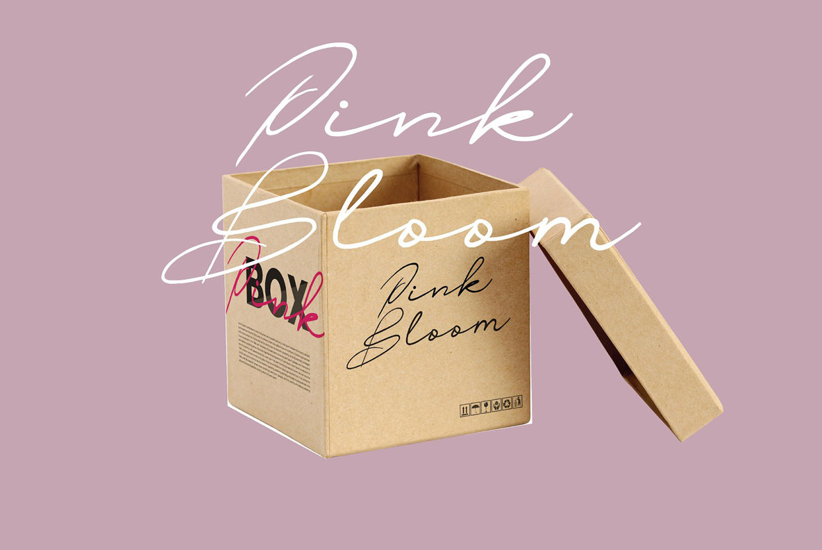 Oliver Quin Font插图7