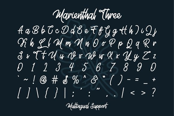 Marienthal Font Bundle + Extras!插图5