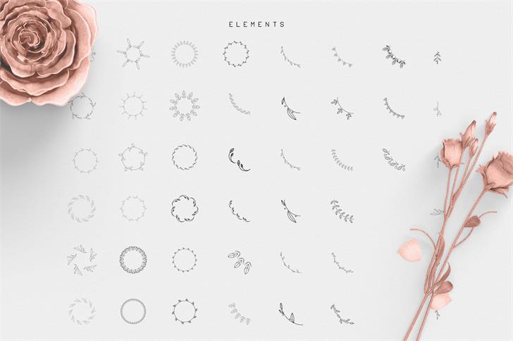 Desislava Ornament font插图8 Desislava Ornament font插图8