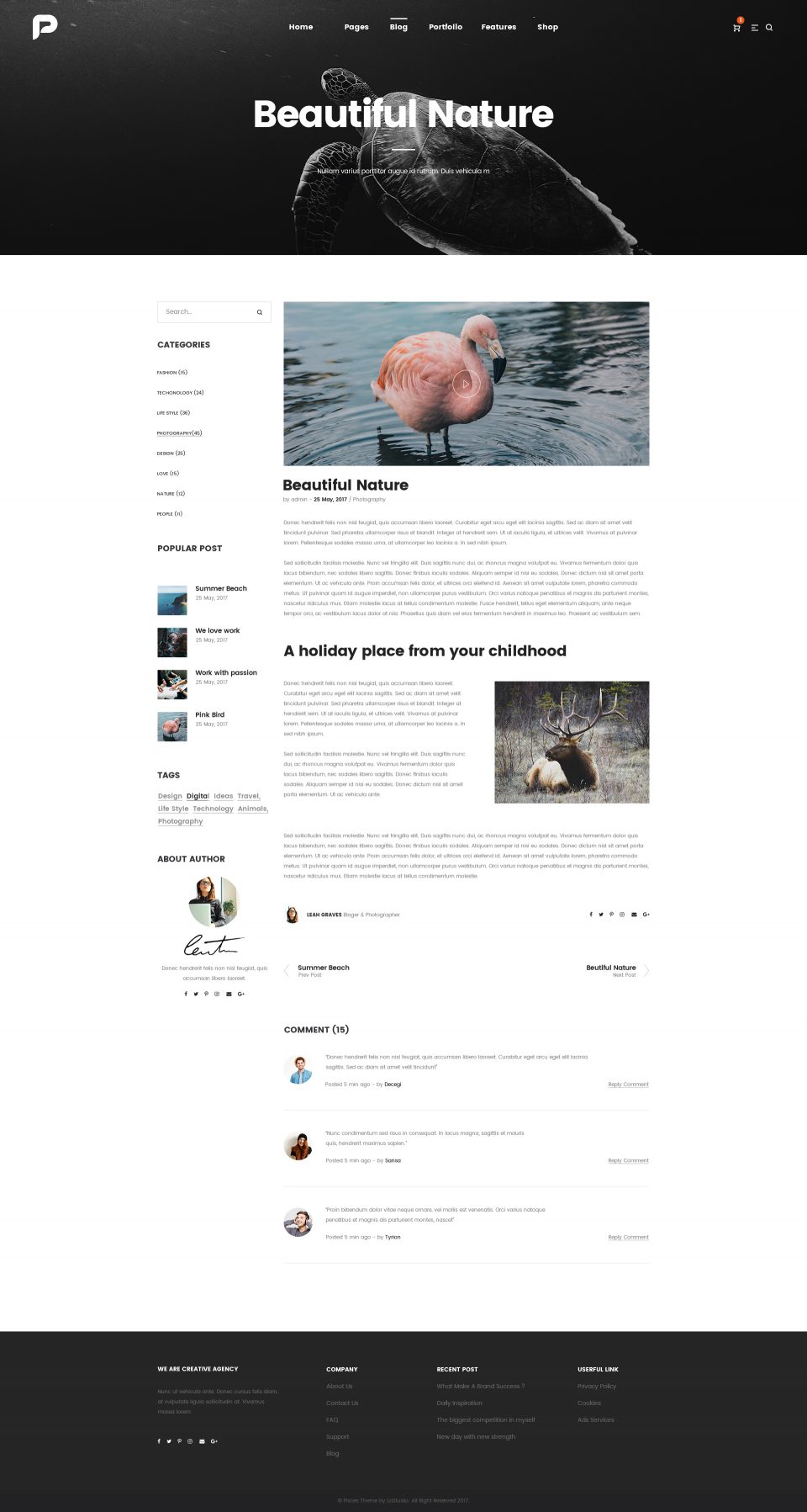 高质量网站全套 PSD 模板素材库精选 Pisces-Multi Concept PSD Template插图(5)