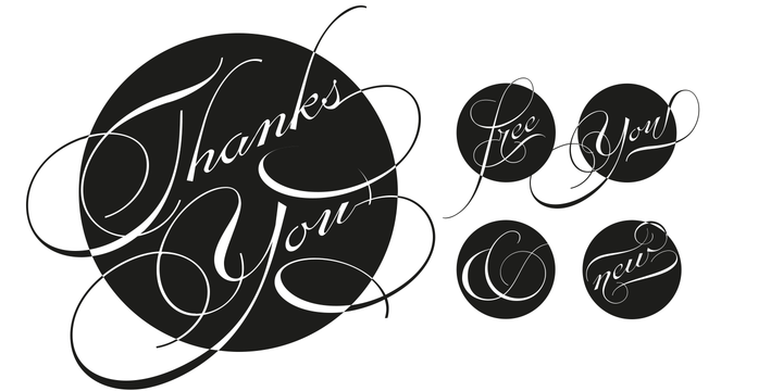 Electric Lady Font插图3