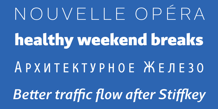 Gimbal Grotesque Font Family插图1