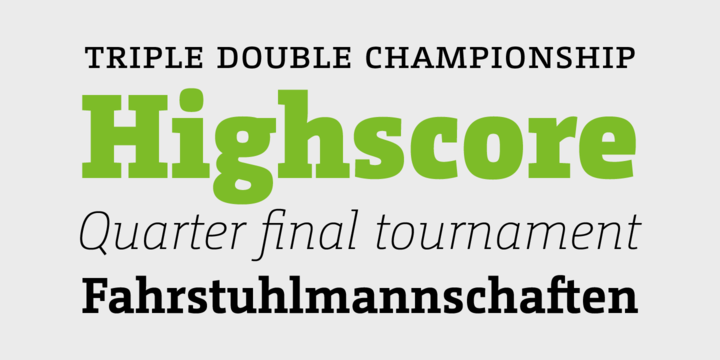 CamingoMono Font Family插图1