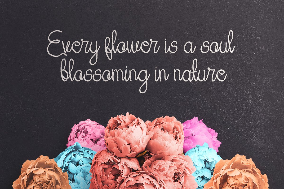 Her Garden Font插图2