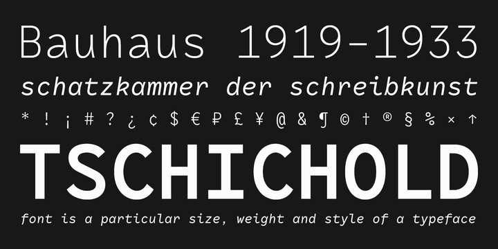 RF Rostin Font Family插图6