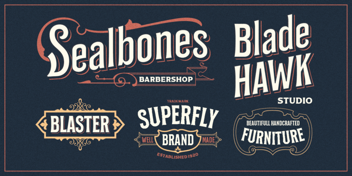 Bilcase Font Family插图3