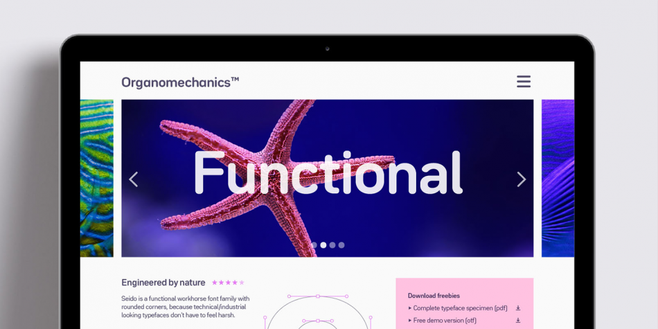 Bw Seido Round Font插图4