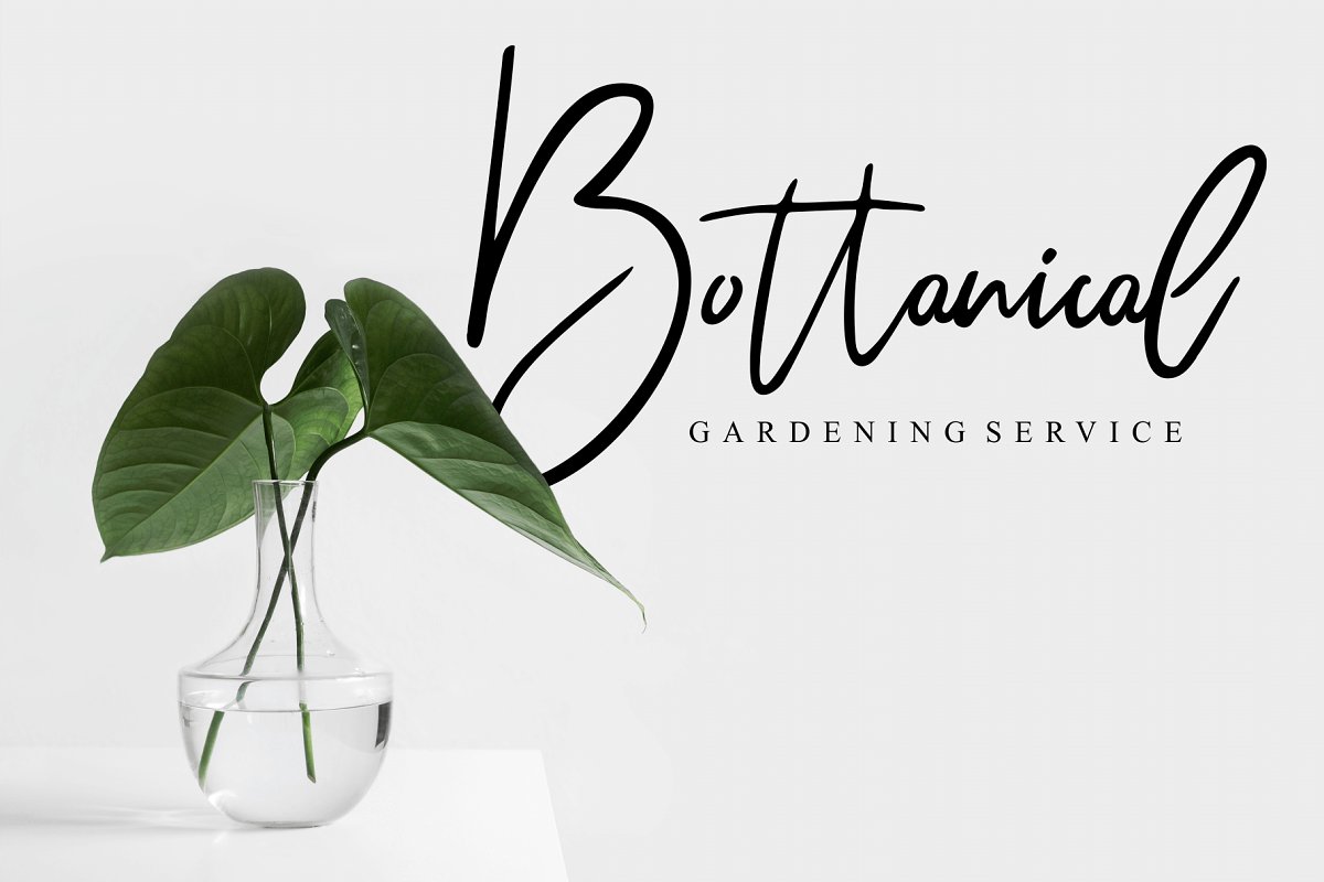 Wiltasso Font插图1