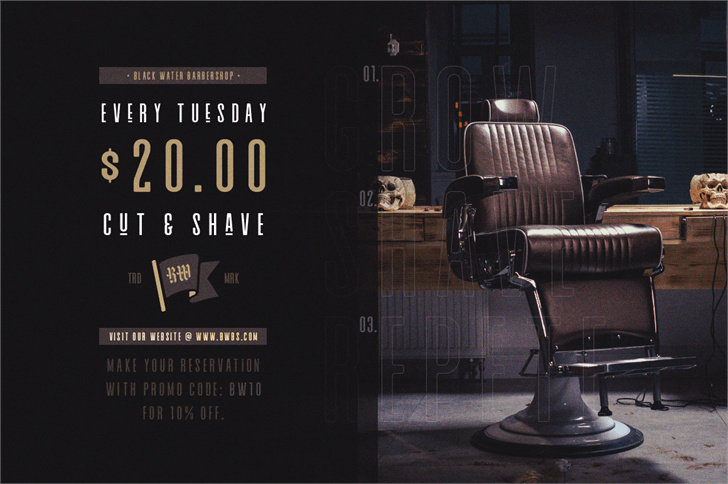 Alvaro Condensed font插图3 Alvaro Condensed font插图3