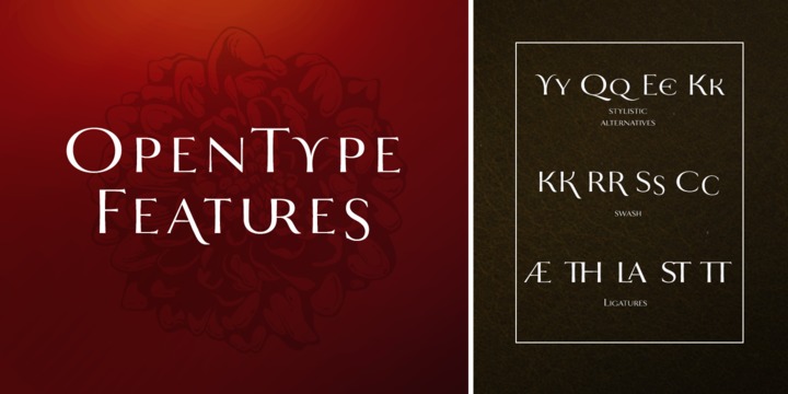 Mynaruse Flare Font Family插图1