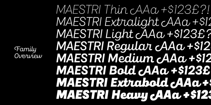 Maestri Font Family插图2